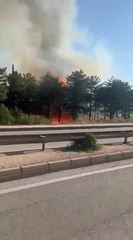 Bursa’da iki noktada aynı anda yangın