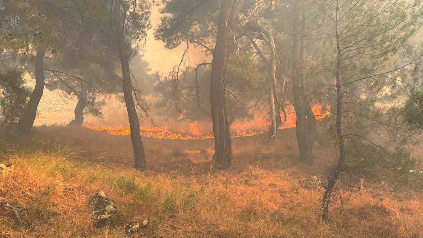 Balıkesir’de tek yangın cephesi: Gömeç