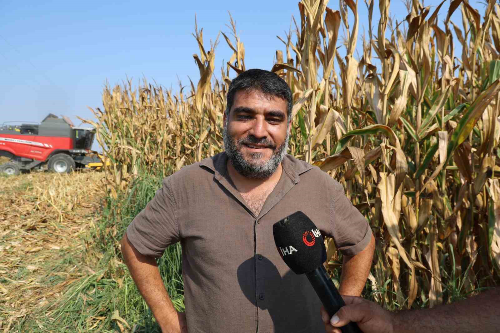 Adana’da Nisan ayında sel vuran mısır tarlalarında hasat başladı
