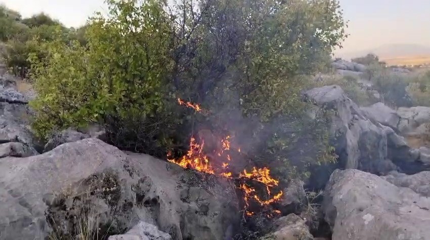 Besni&rsquo;de ormanlık alanda &ccedil;ıkan yangın korkuttu