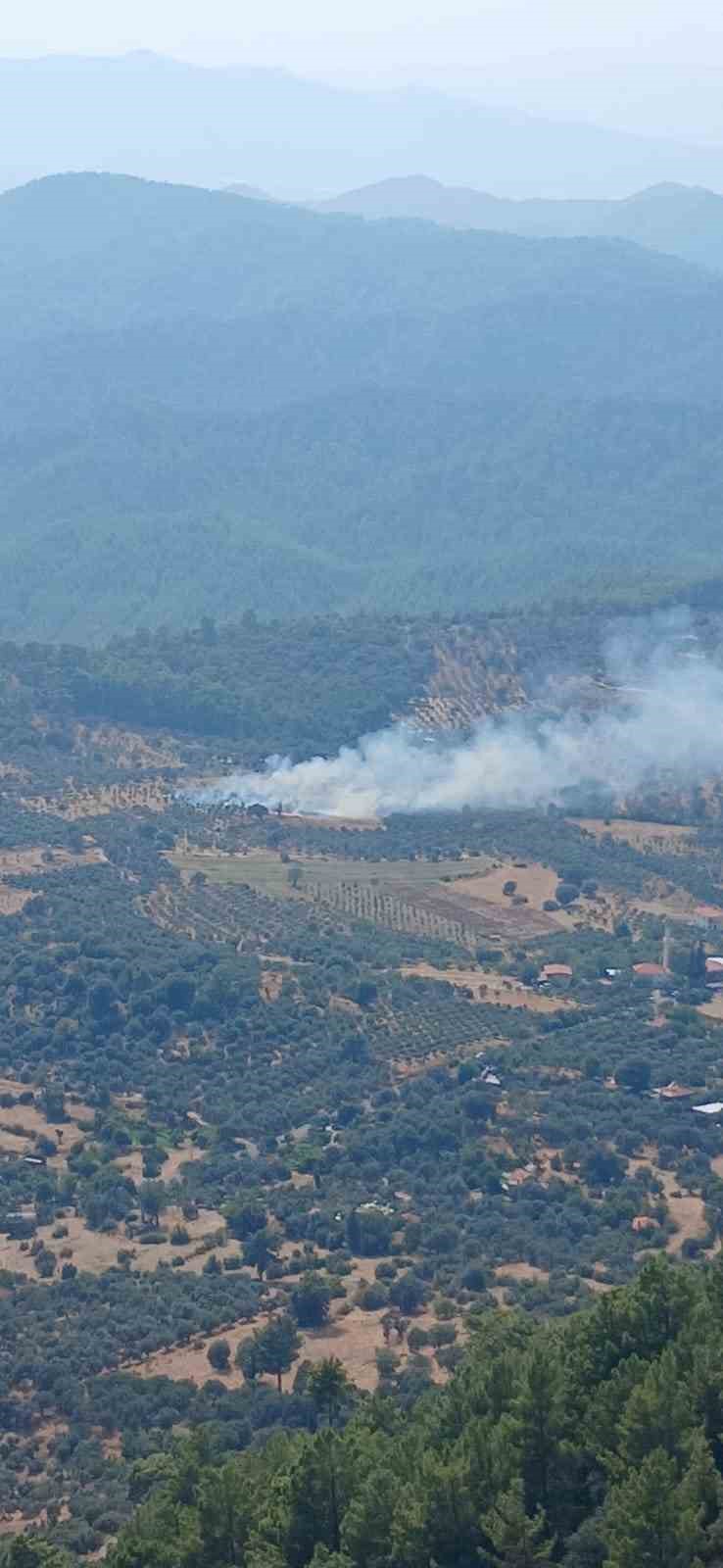 Dalaman&rsquo;da orman yangını ekiplerin hızlı m&uuml;dahalesi ile kontrol altına alındı