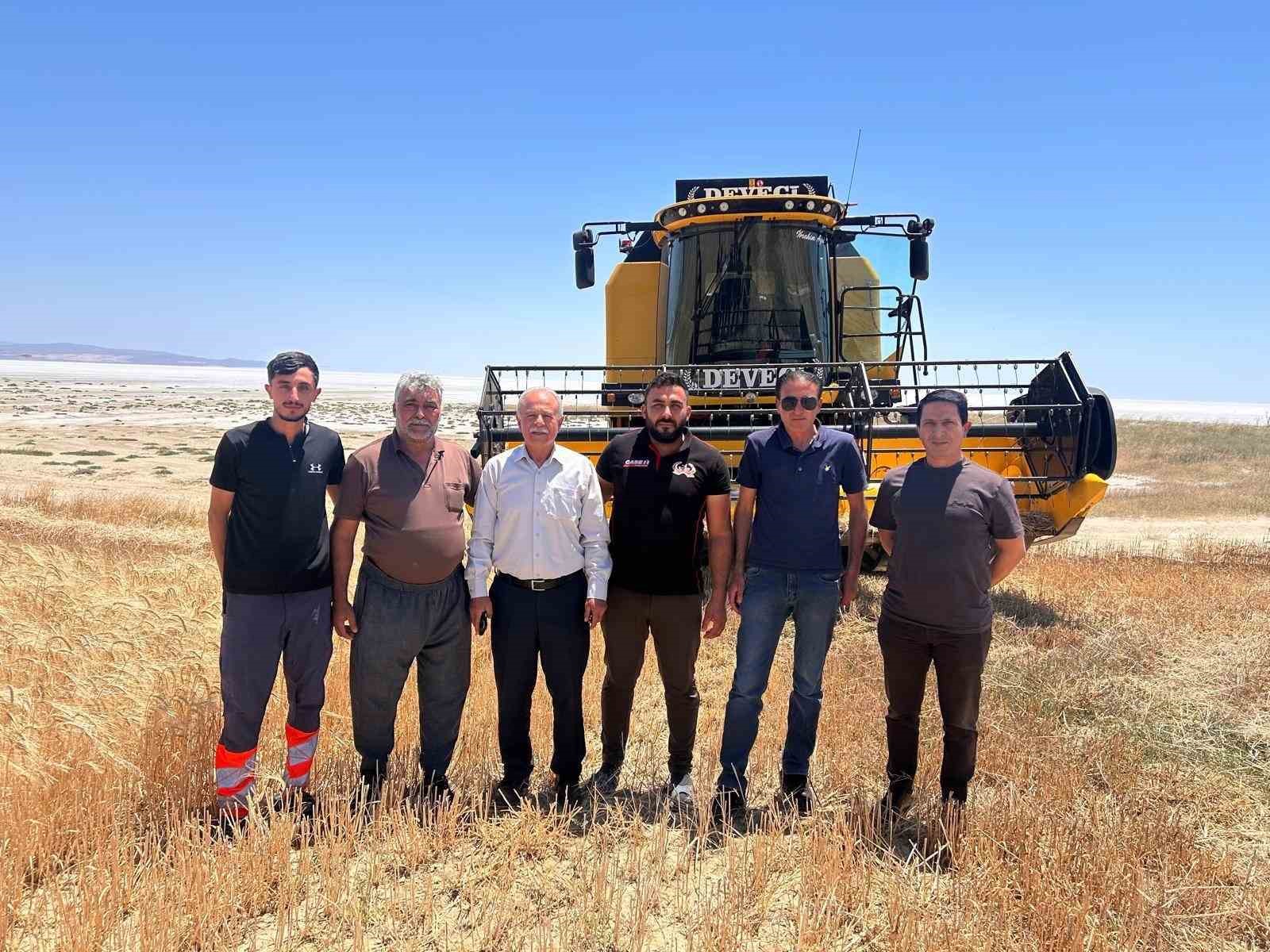 Kulu’da arpa hasadı başladı