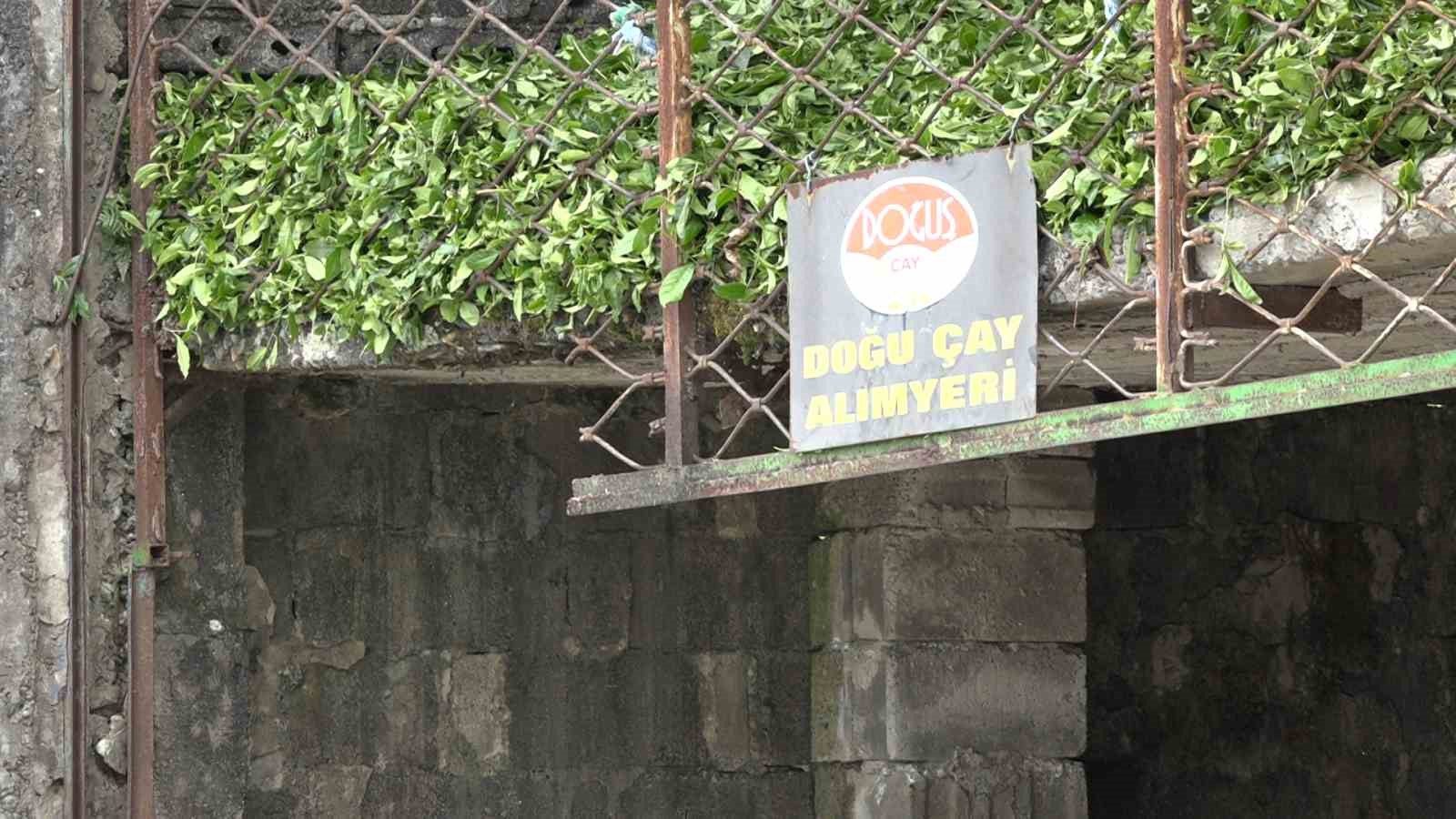 Çay üreticisinden özel sektöre fiyat tepkisi