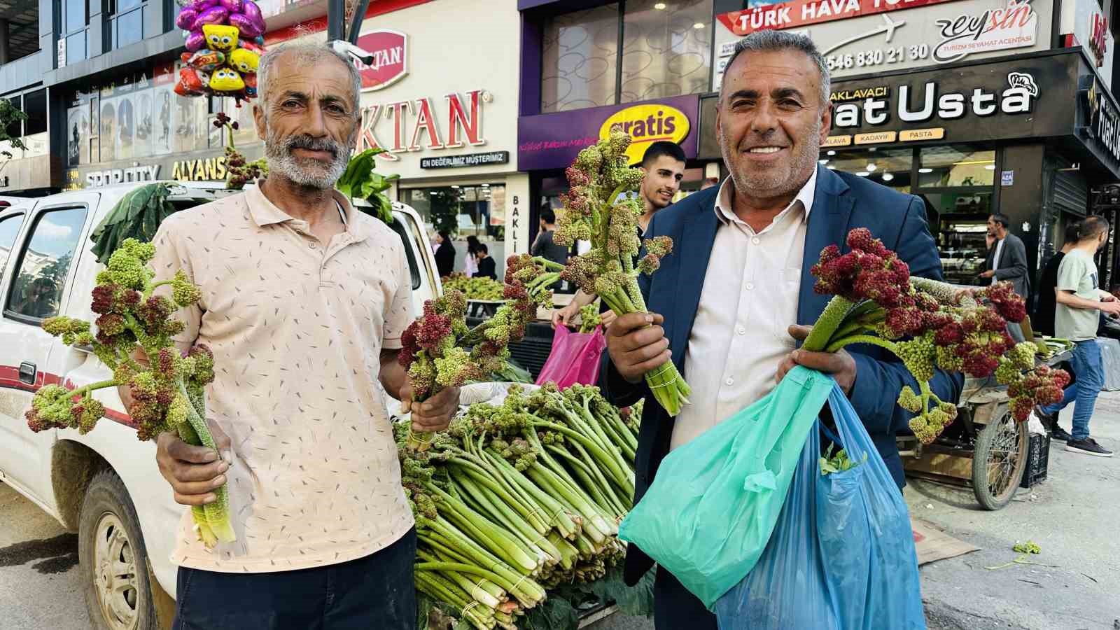 Yüksekova dağlarının şifalı otları vatandaşın geçim kapısı oldu
