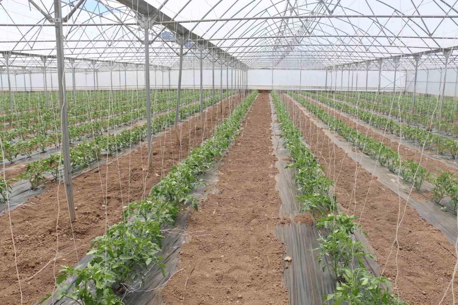 Erzincan’da üreticilere yüzde 50 hibeli sera örtüsü desteği
