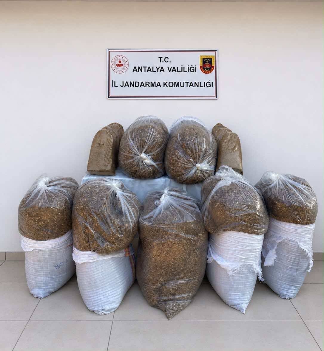 Antalya’da kaçak tütün operasyonunda 365 kilo tütün ele geçirildi