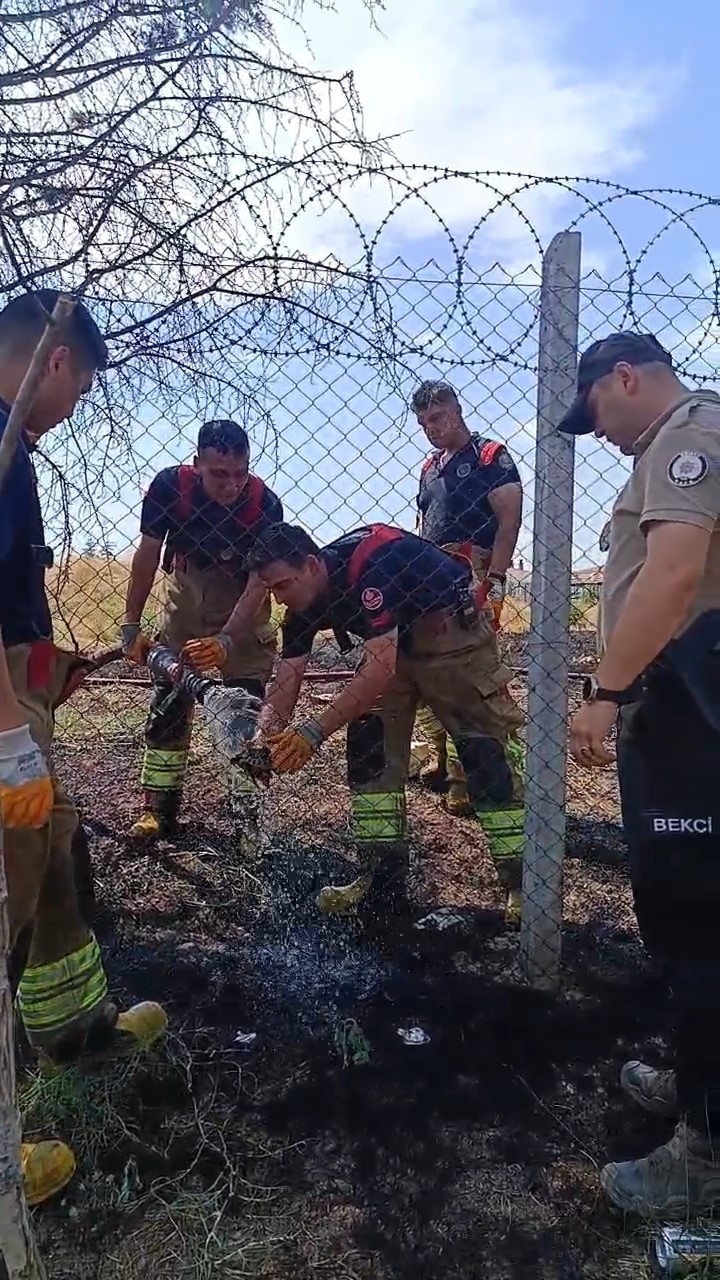 Edirne&rsquo;de alevlerin arasında kalan kaplumbağa kurtarıldı