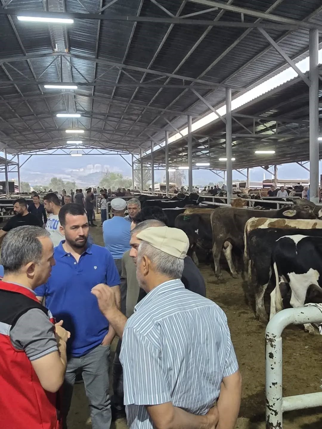 Aydın’da hayvan pazarlarında sıkı denetim