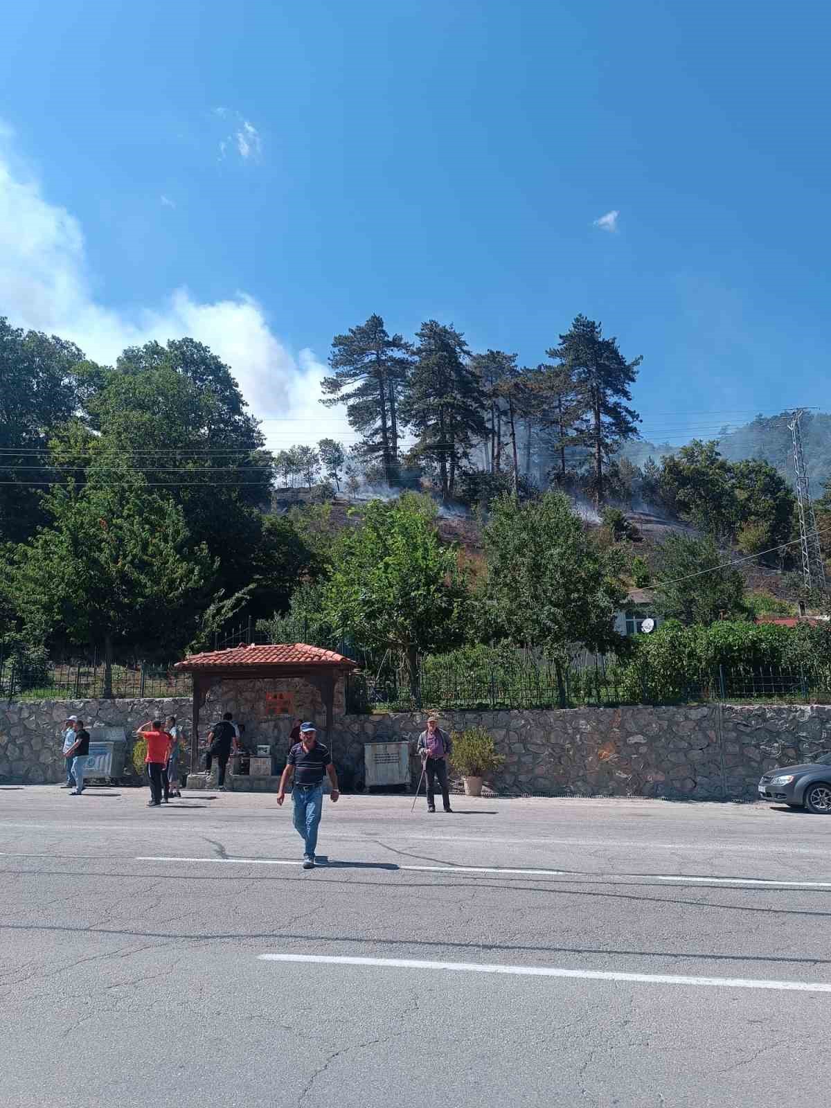 Sinop’ta orman yangını