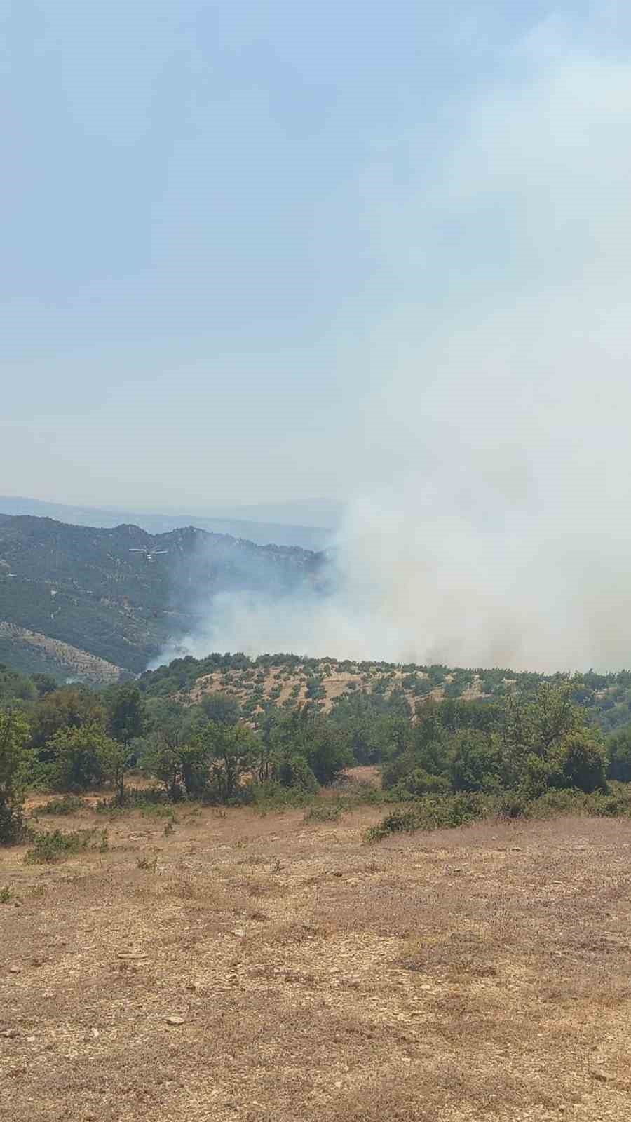 Kuyucak&rsquo;ta orman yangını