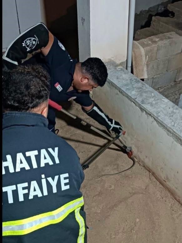 Hassa ve Erzin’de yerleşim alanlarına giren yılanları itfaiye yakaladı
