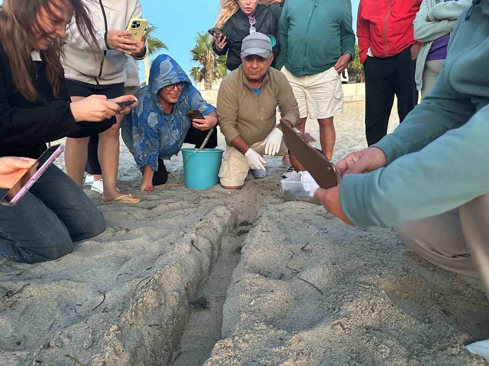 Sürpriz yuvadan 67 caretta caretta yavrusu çıktı