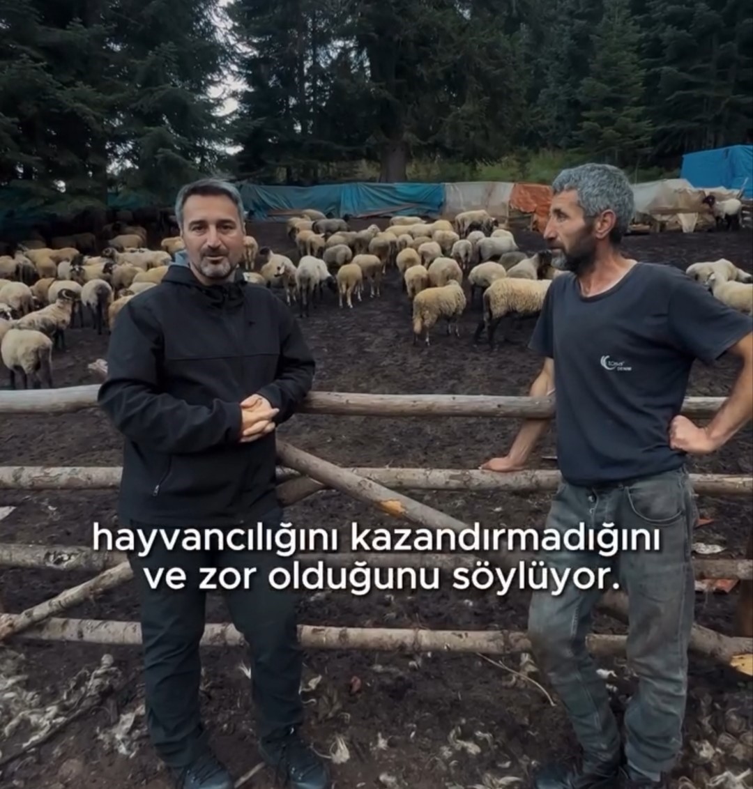 Belediye Başkanı Bozkurt’tan hayvan yetiştiriciliğine destek