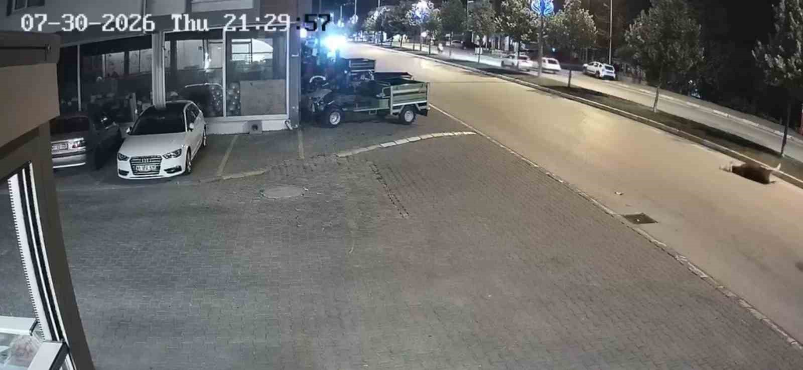 Motosikletle b&uuml;y&uuml;kbaş hayvana &ccedil;arptı