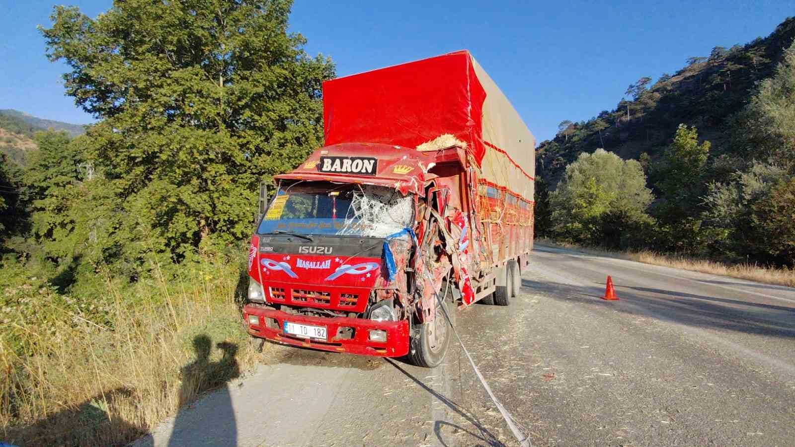Bolu’da iki kamyon kafa kafaya çarpıştı: Samanlar yola saçıldı, 2 yaralı