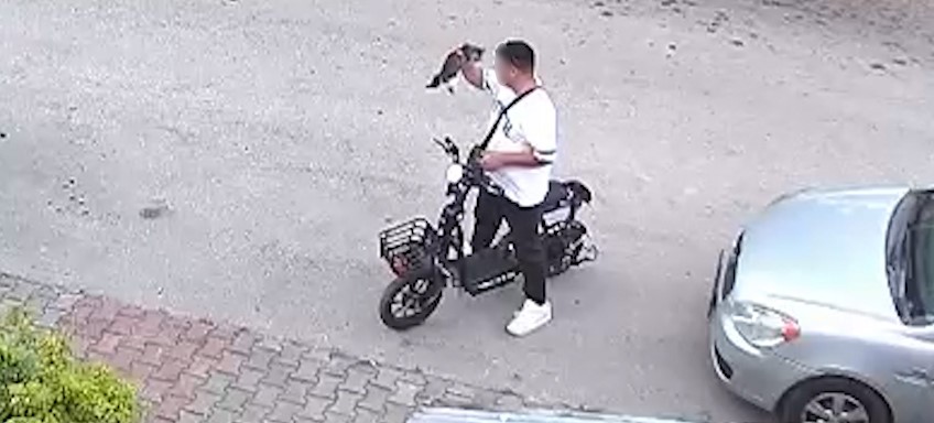 Yavru kediyi önce öptü, sonra boğdu
