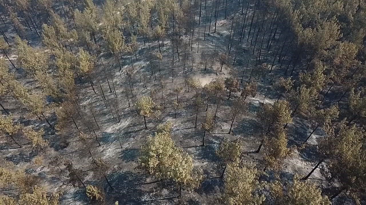 Seydikemer’de alevlerin küle çevirdiği alanlar havadan görüntülendi