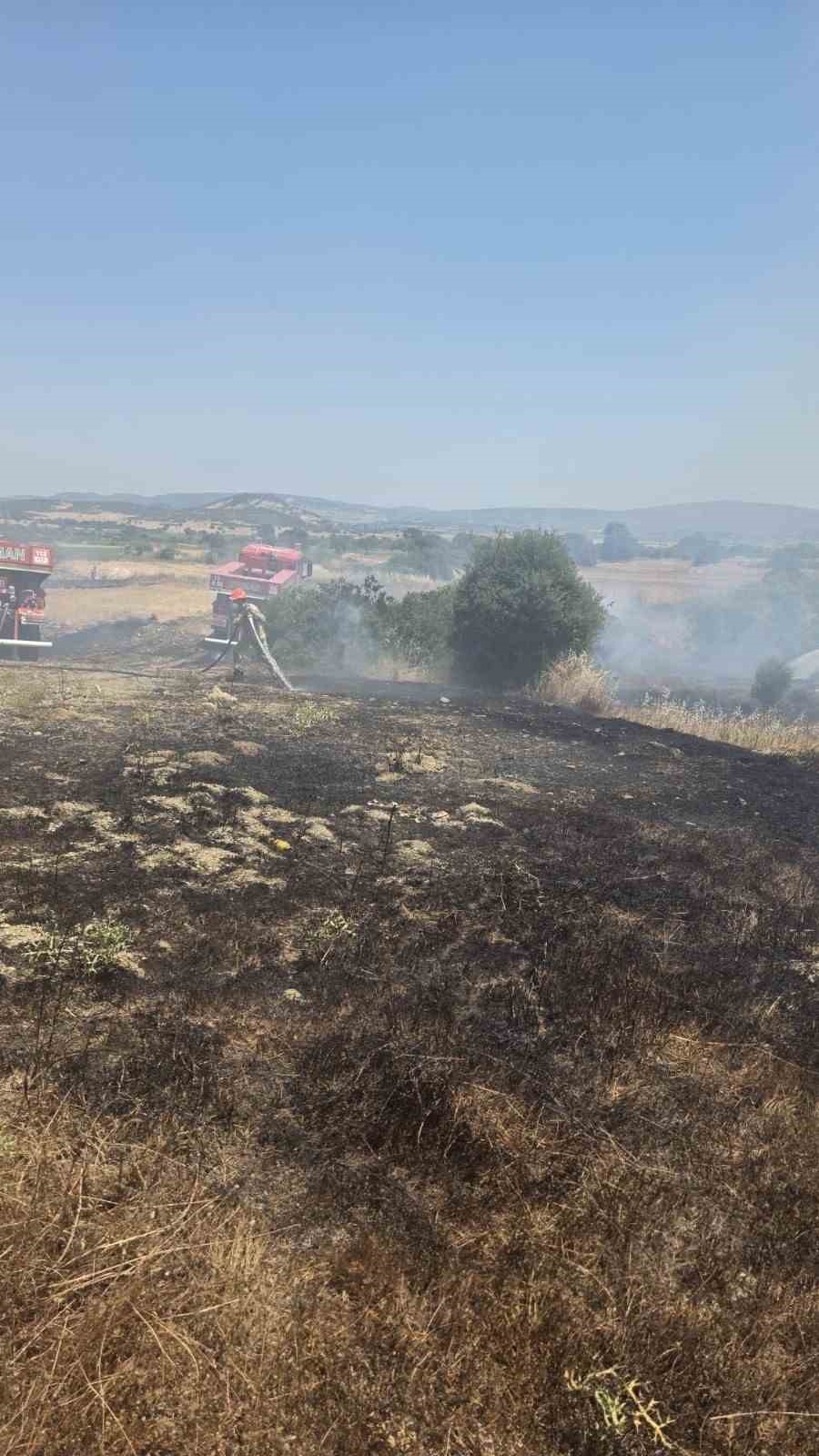 Çanakkale’deki yangında 10 dönüm tarım arazisi zarar gördü