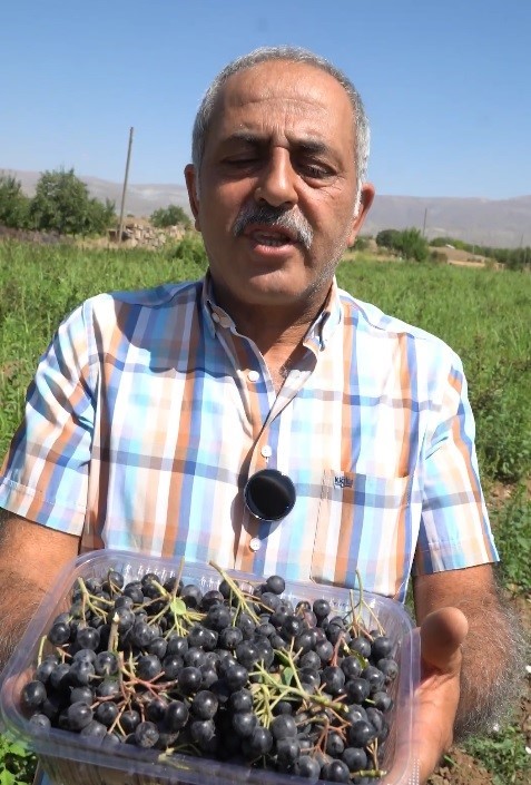 Bir kepçe aronya dondurmasıyla başladı, Erzincan’da bahçe kurdu