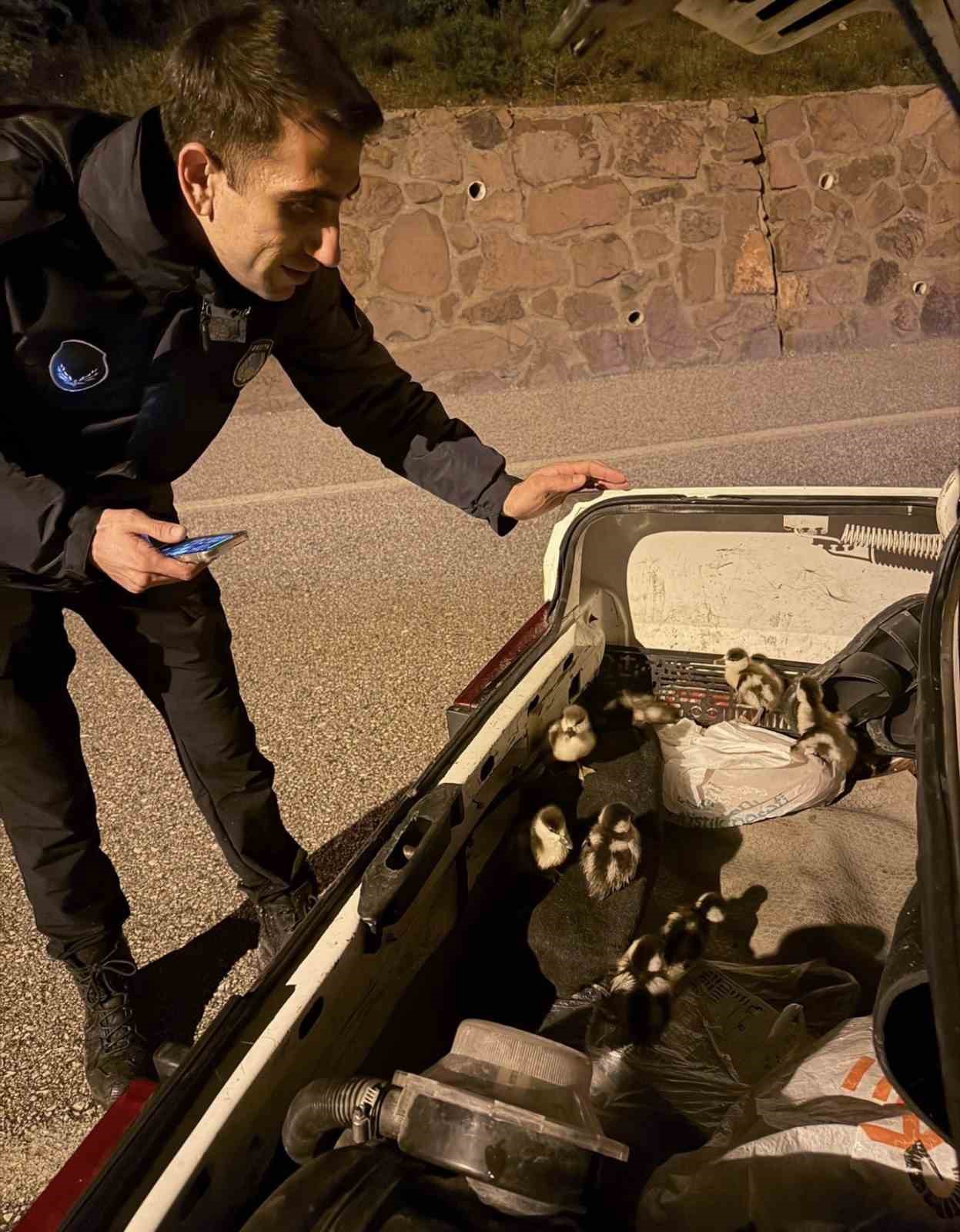 Selden etkilenen &ouml;rdekler koruma altına alındı