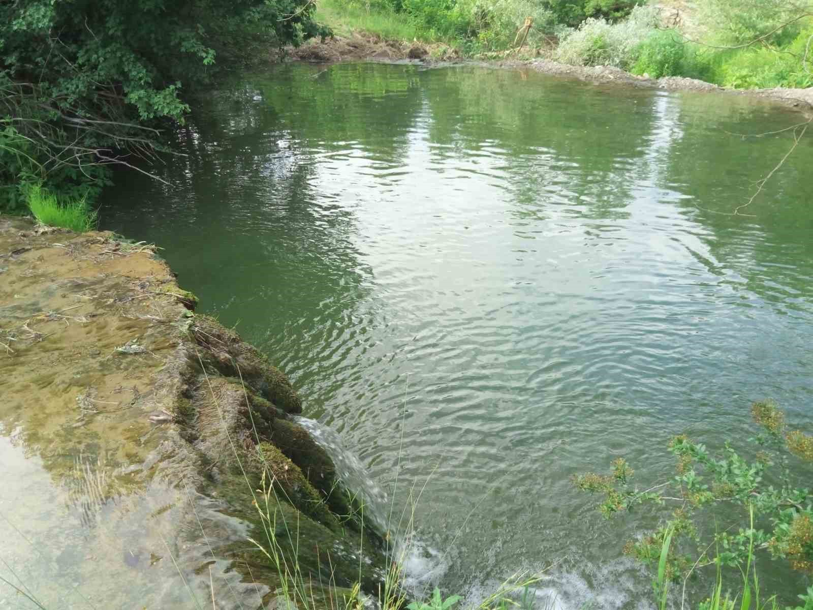 Mahallelinin &rsquo;şelale&rsquo; talebi