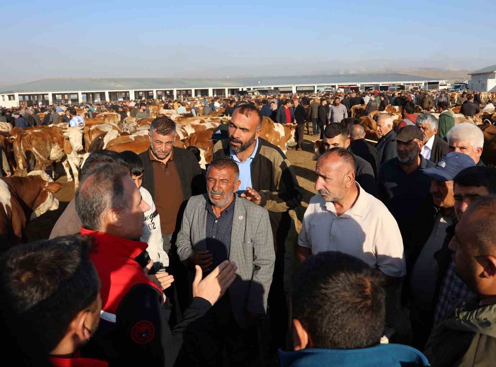 Kars Hayvan Pazarı’nda sıkı denetim: Hayvan hareketliliğine sağlık ve güvenlik filtresi