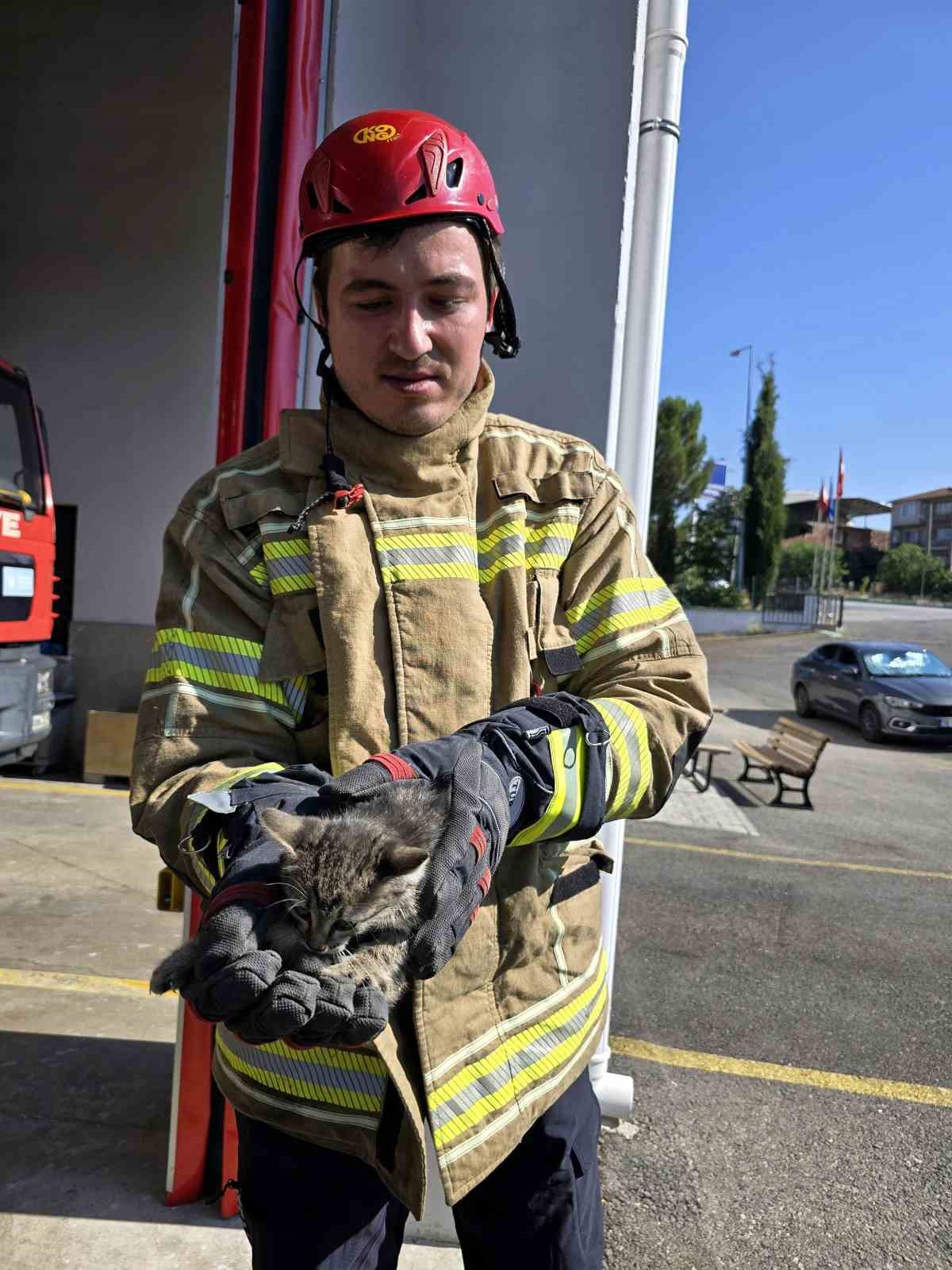 Otomobilin motorunda ilçe ilçe gezdi