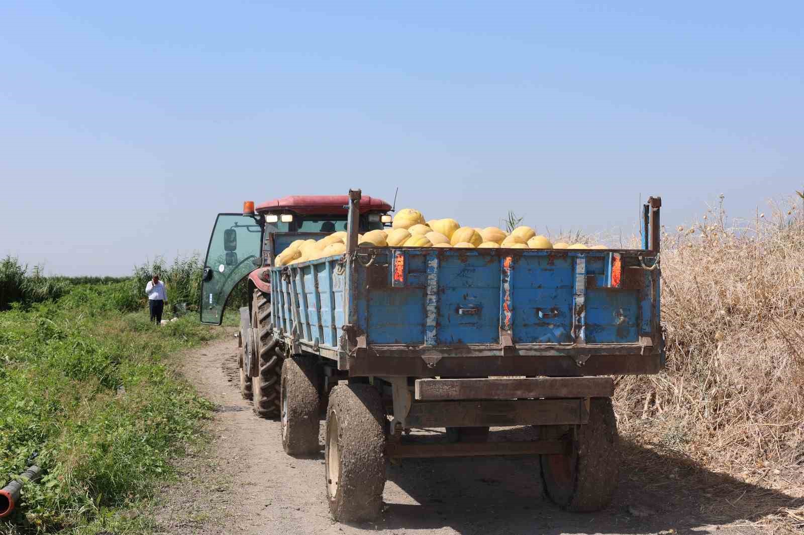 Depremzede vatandaşlara 100 ton kavun ücretsiz dağıtıldı