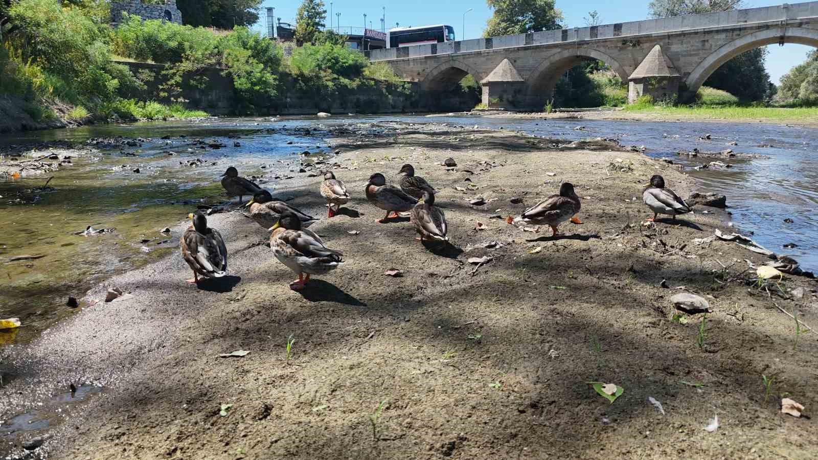 Tunca Nehri&rsquo;nde kuraklık alarmı