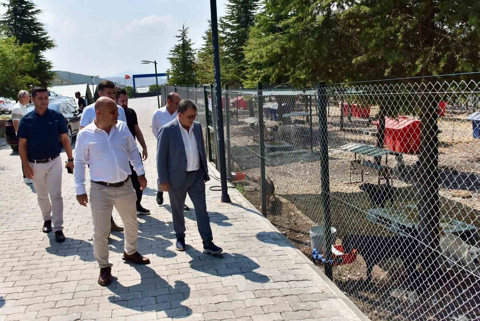 Başkan Hakan Şehirli Hayvan Bakımevi&rsquo;ni ziyaret etti