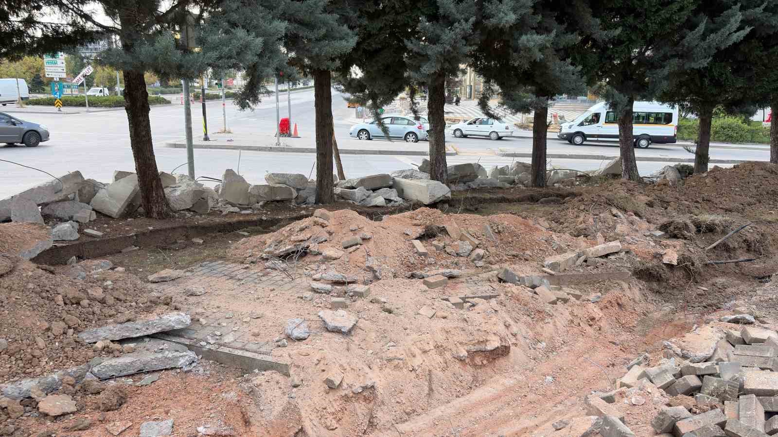 Ankara’da yol genişletme çalışmalarında 40 ağacın kesilmesi kararına tepki