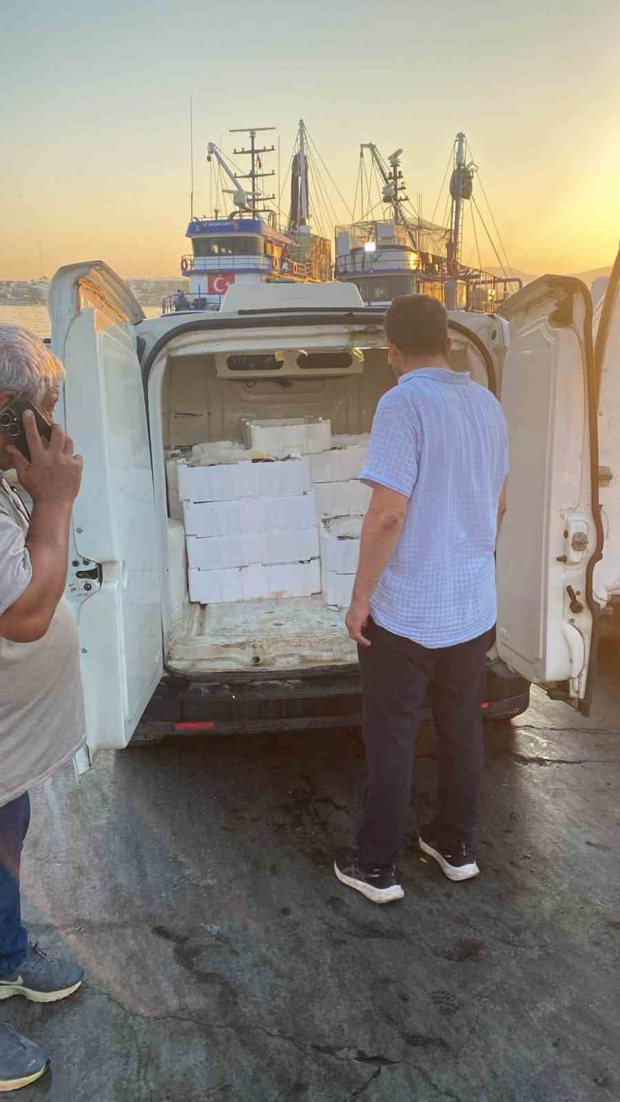 Gırgır teknelerinde balık boyu denetimi