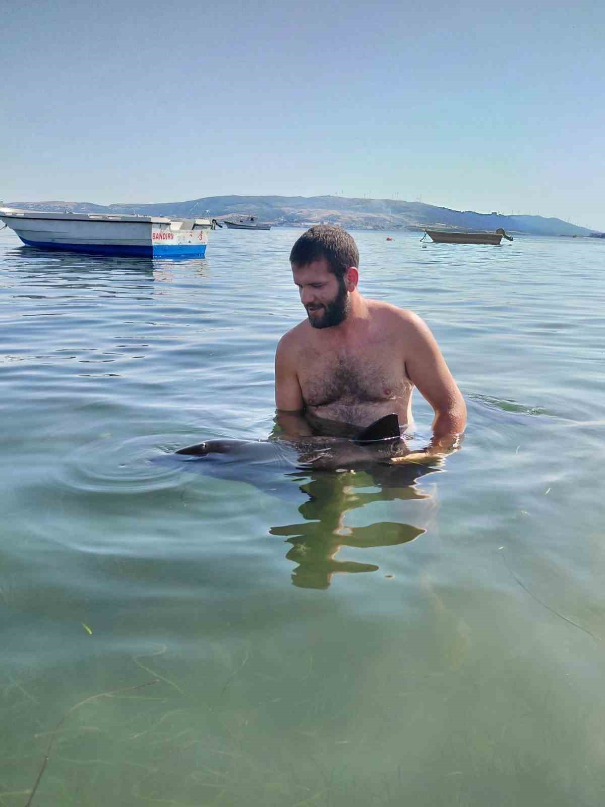Erdek&rsquo;te karaya vuran yavru yunus seferberliği