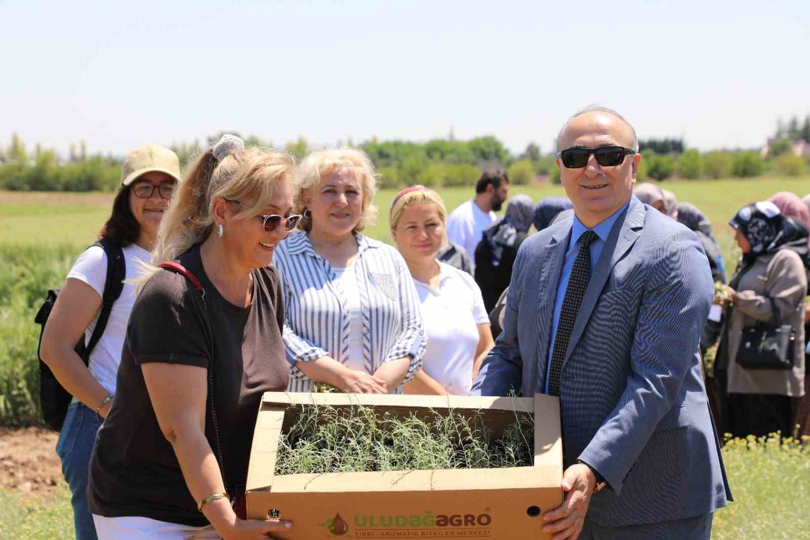 Bozkırların altın çiçeğinde hasat sevinci
