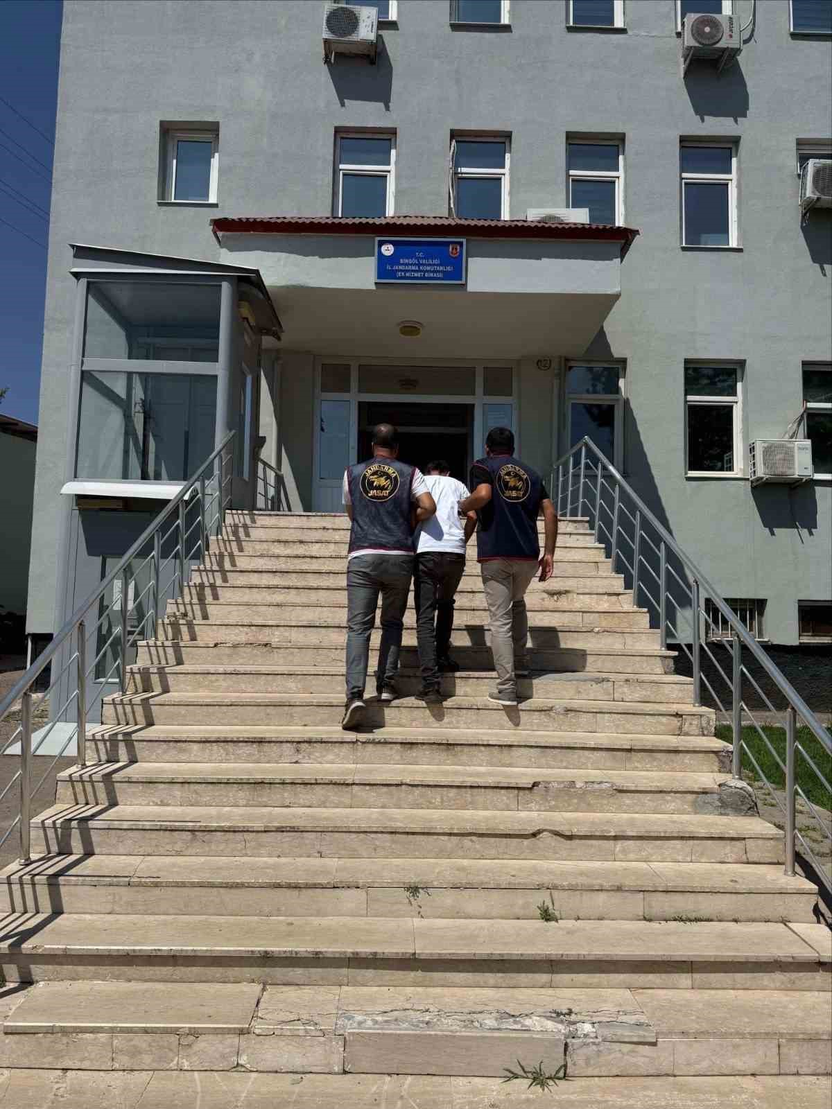 Bing&ouml;l&rsquo;de 42 bin k&ouml;k kenevir bitkisi ele ge&ccedil;irildi
