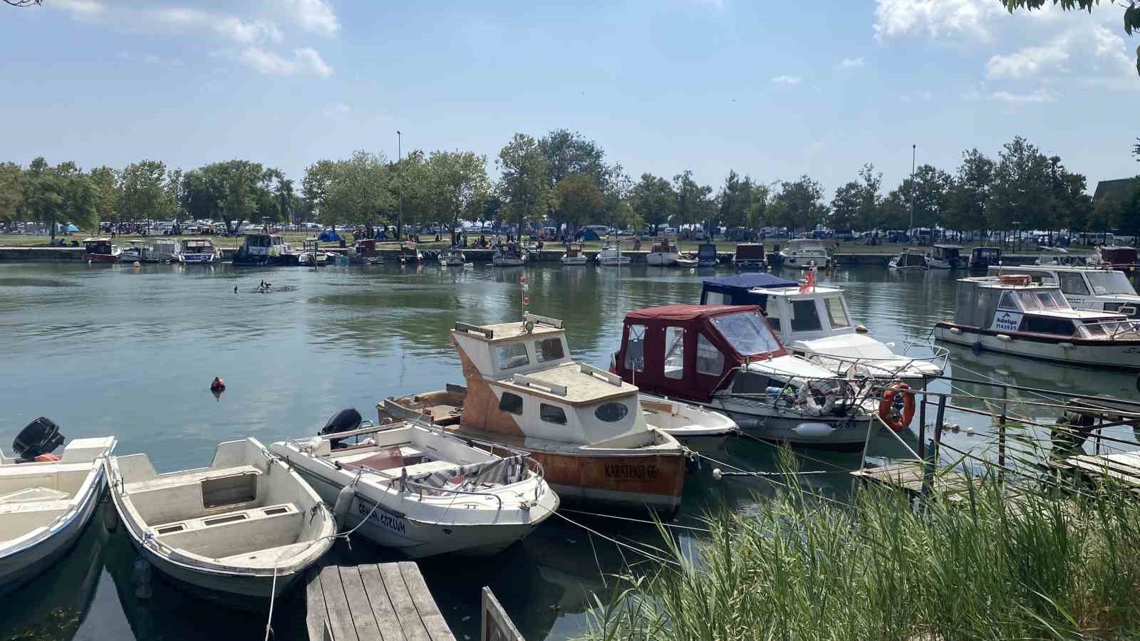 Küçükçekmece Menekşe Deresi’nde batık tekneler karabatakların yuvası oldu