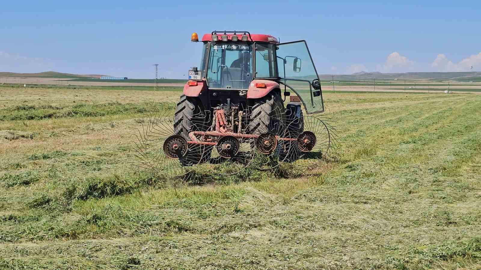 Adilcevaz’da ot biçme sezonu başladı