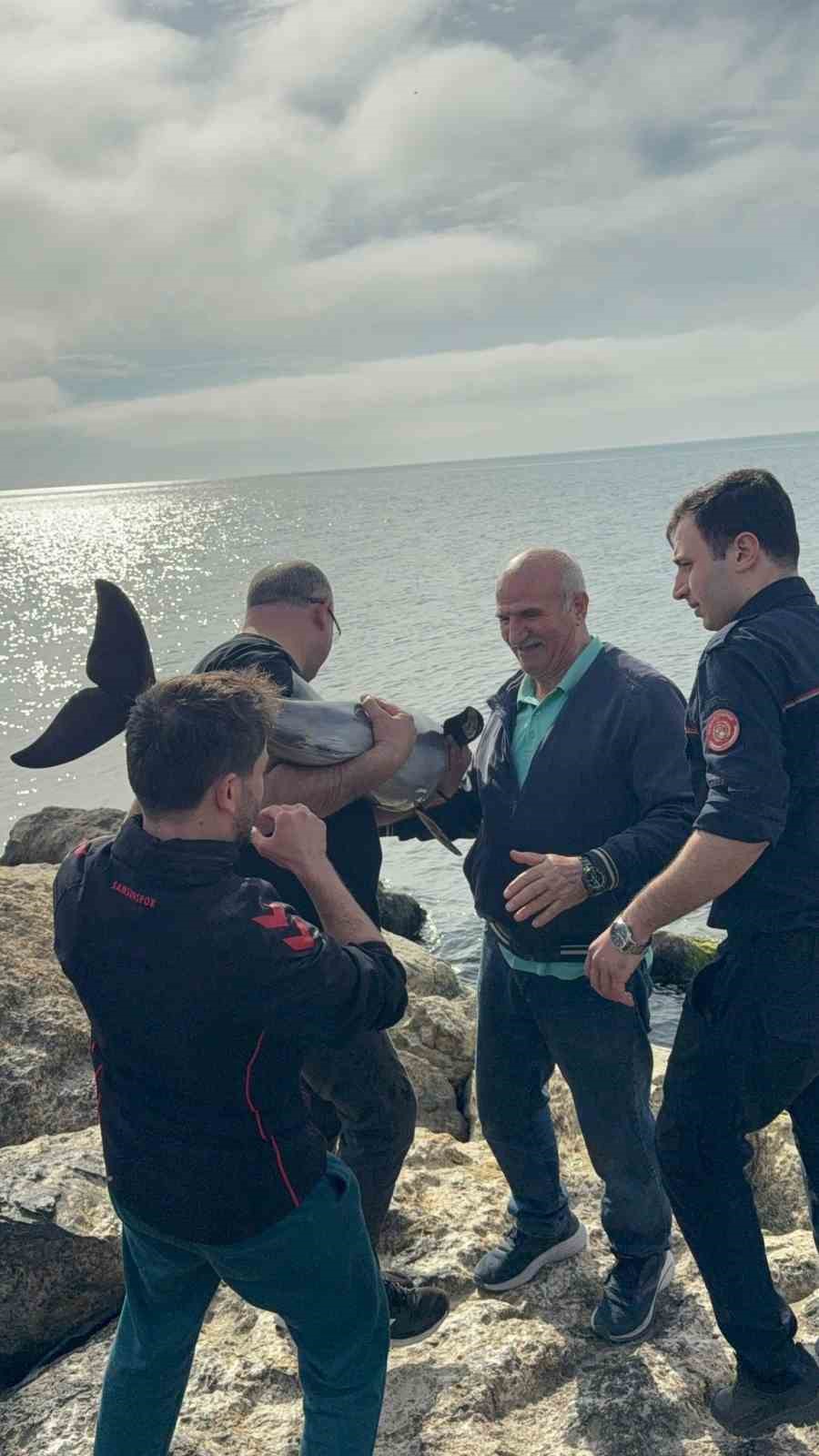 Kayalıklara sıkışan yunusu polis memuru kurtardı
