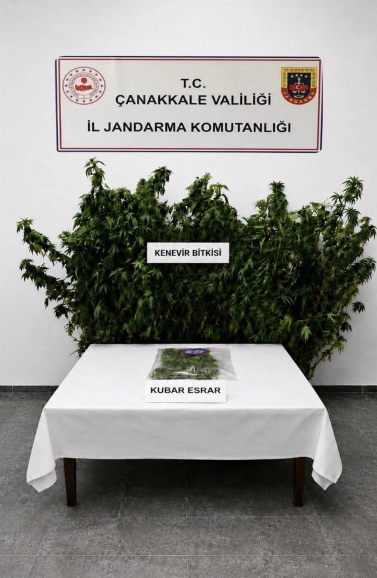 &Ccedil;anakkale&rsquo;de 3 il&ccedil;ede uyuşturucu operasyonu