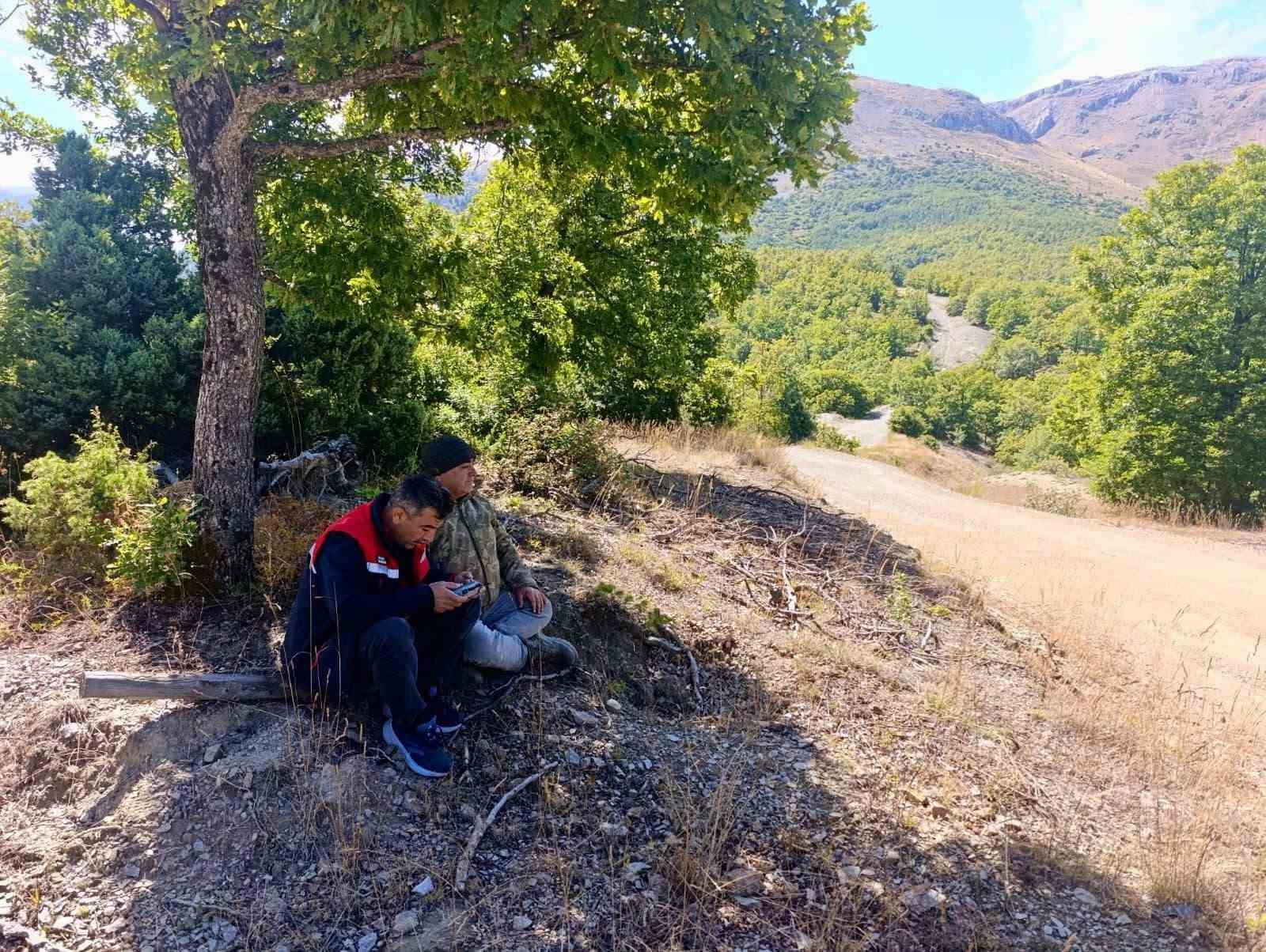 Kaybolan 9 büyükbaş hayvan dron ile bulundu