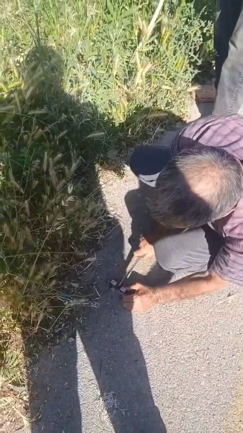 Tren çarpması sonucu raylara sıkışan ineğin telef olmaması için saniyelerle yarıştılar