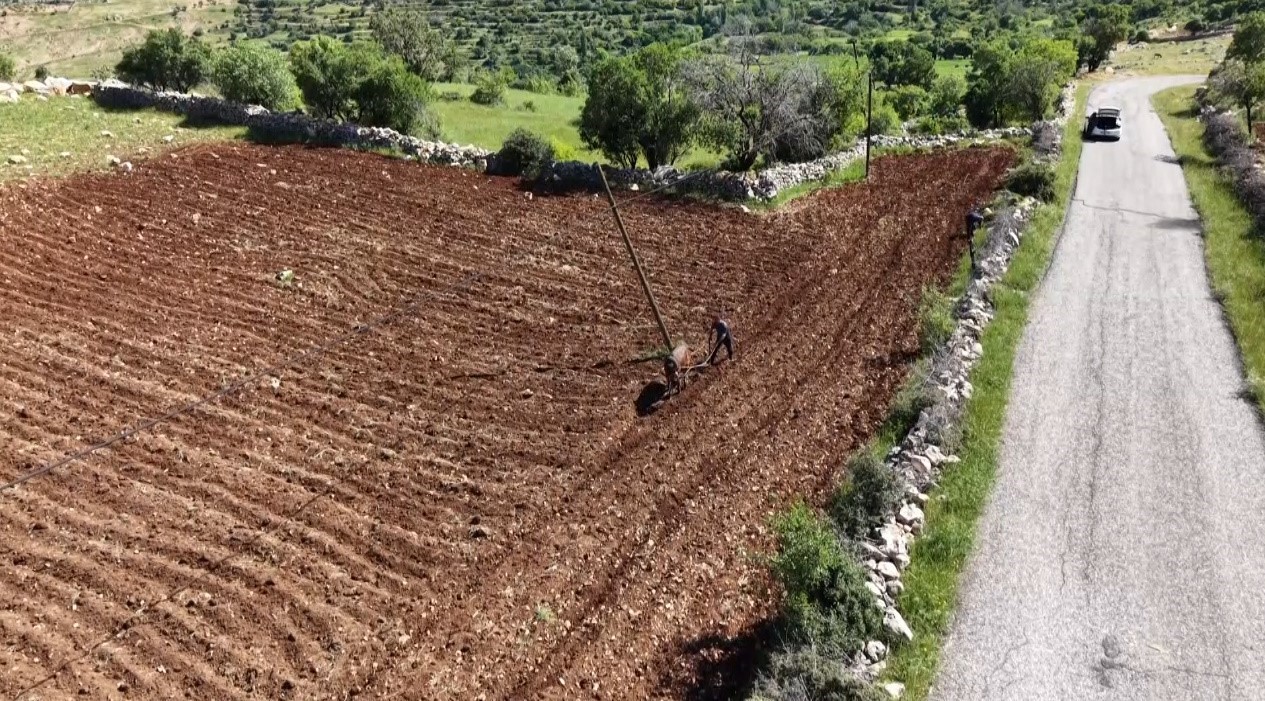Gercüş’te bahar mesaisi: Şafak vaktiyle çiftçiler tarlalara akın ediyor