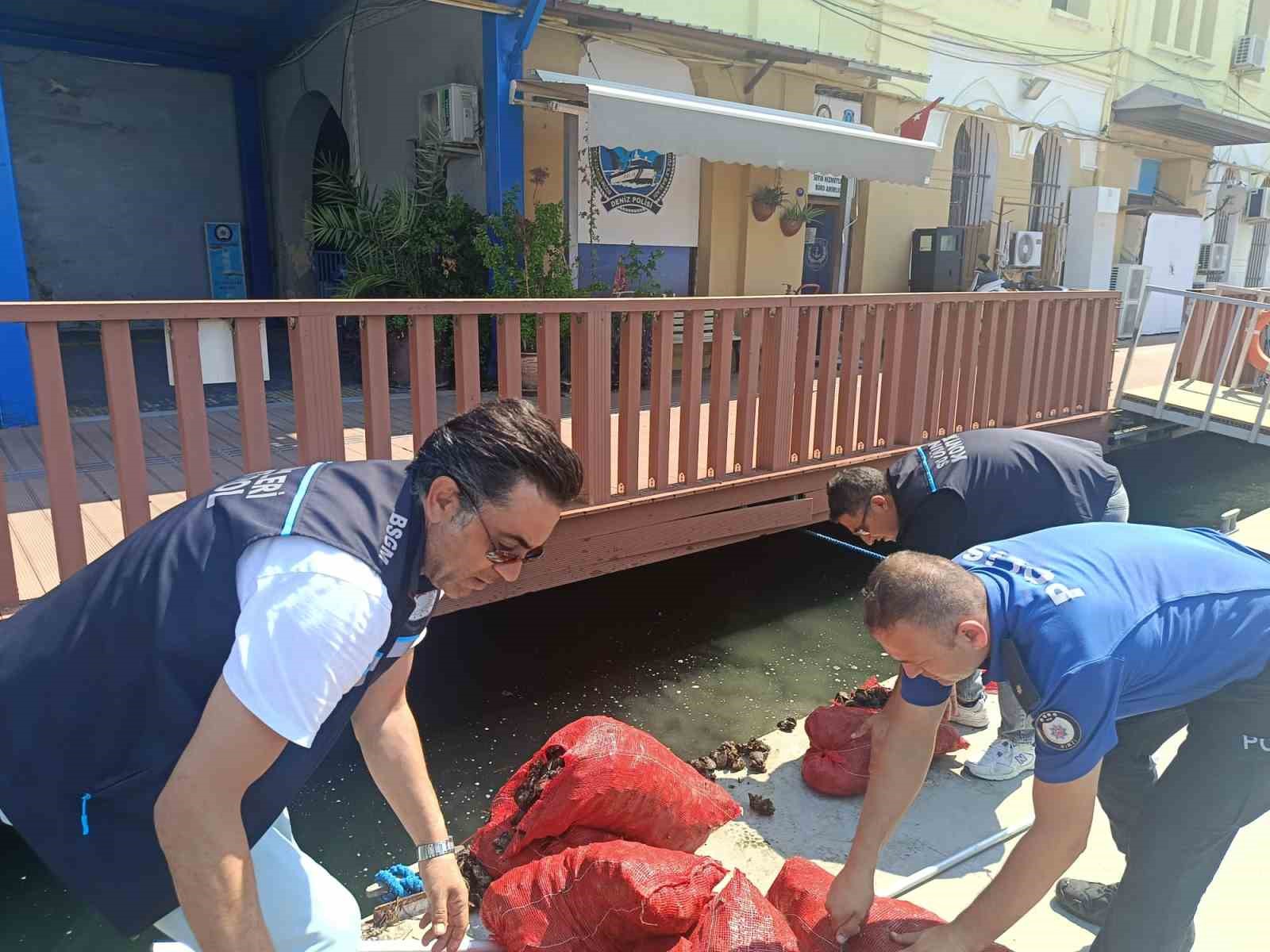 İzmir’de yasa dışı kara midye operasyonu: 560 kilogram midye denize iade edildi