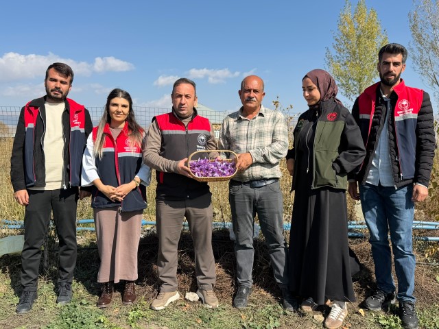 Esnaflığı bıraktı, tarlada serveti buldu: Kilosu 1 milyon lirayı bulan