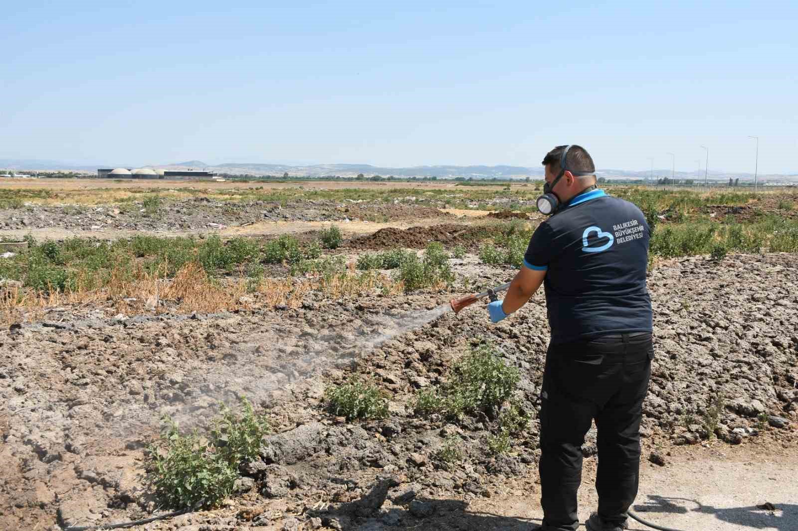 Büyükşehir ilaçlama ekipleri 7/24 sahada