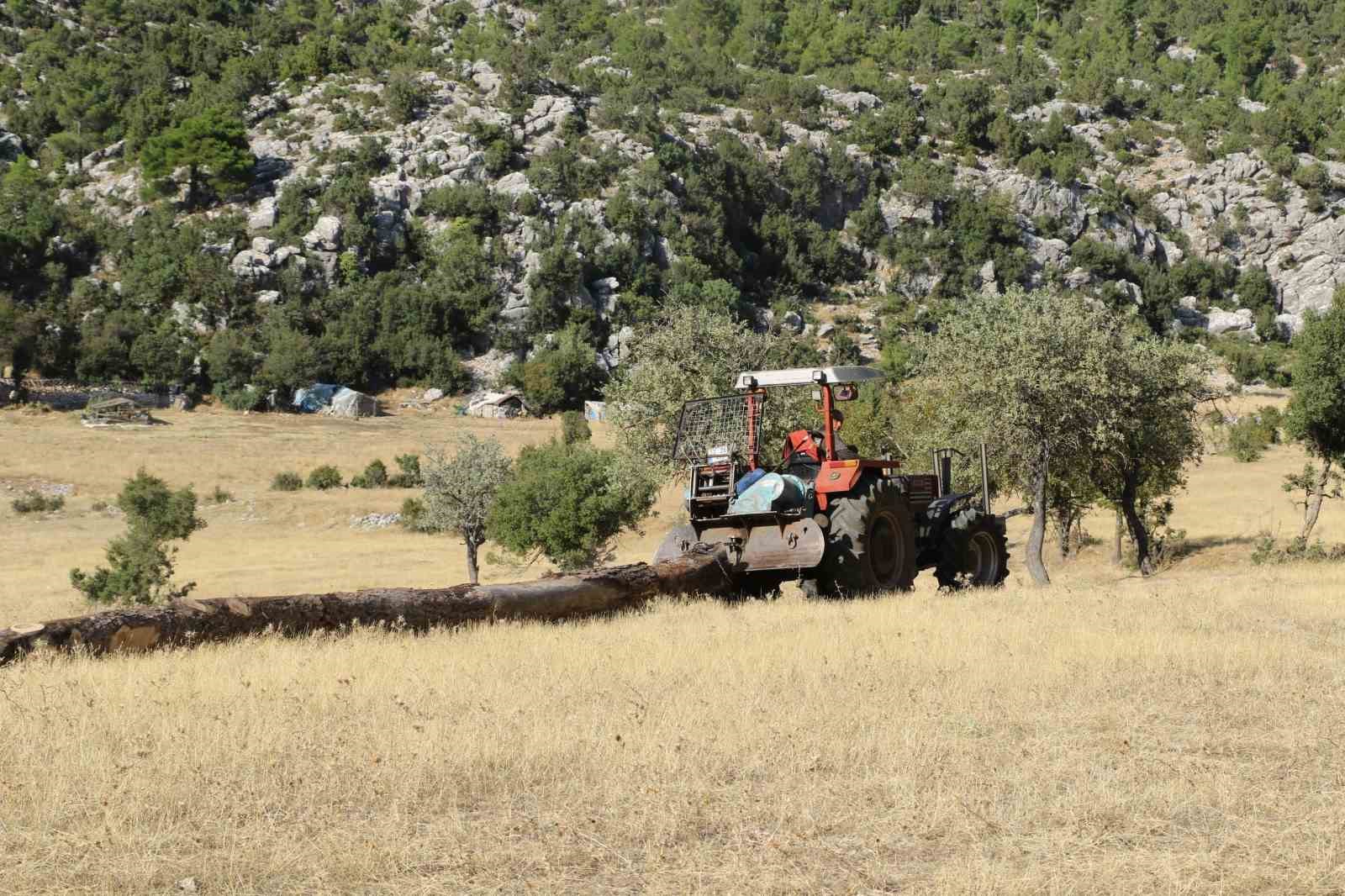 Ağa&ccedil; keserek ve naylon &ccedil;adırda ders &ccedil;alışarak tıp fak&uuml;ltesini kazandı