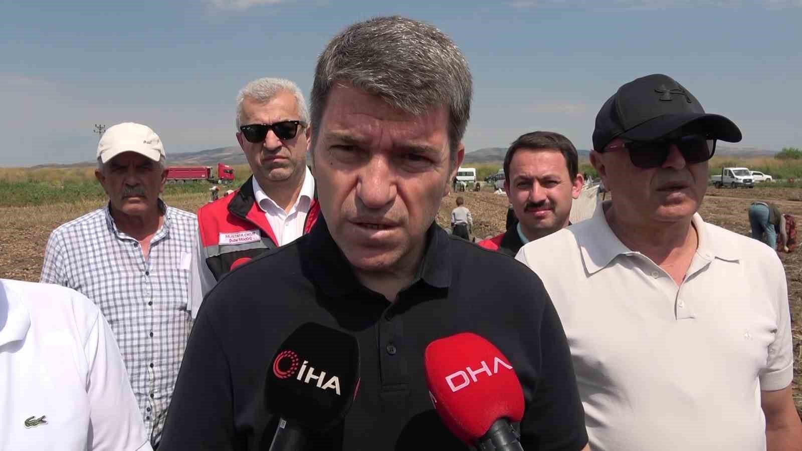 Amasya’da patates hasadı başladı: 130 bin ton rekolte bekleniyor