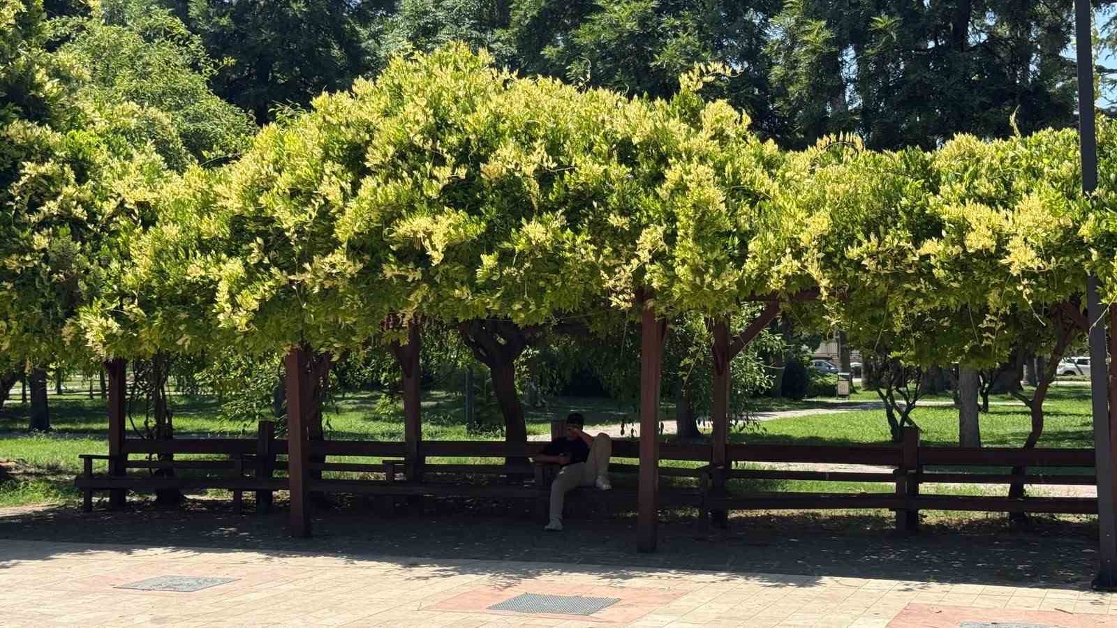 Adana’da termometreler 42 dereceyi gösterdi