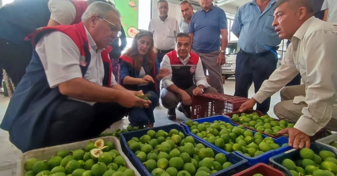 Buharkent’te ilekler, tezgahta incelendi