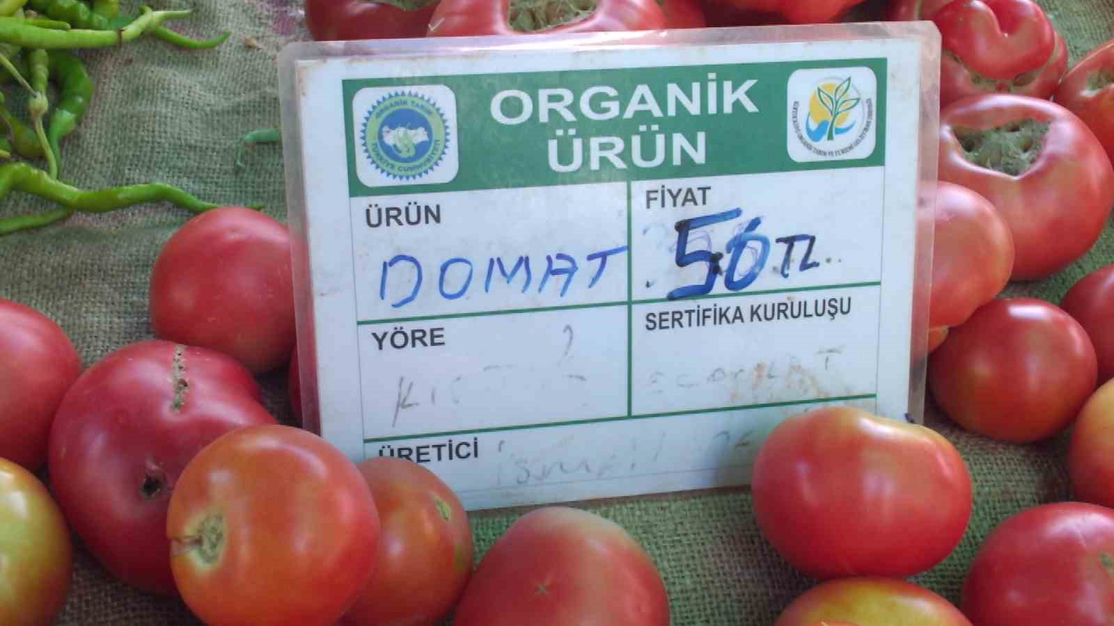 Balıkesir Burhaniye de organik ürünler pazarı kuruldu
